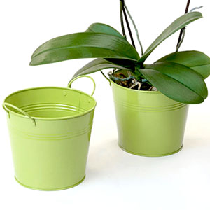 6.5" Tin Pot Lime Green