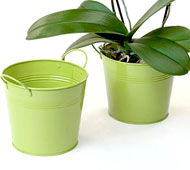 6.5" Tin Pot Lime Green