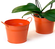 6.5" Tin Pot Tangerine