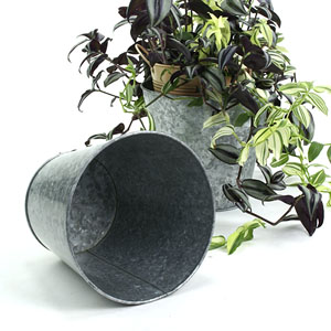Galvanized Tin Pot Cover