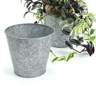 Galvanized Tin Pot ...