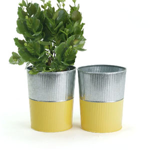 6" Galvanized Bucket Tall Ribbed/Yellow base