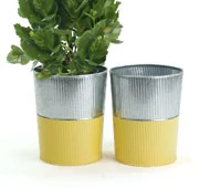 6" Galvanized Bucket Tall Ribbed/Yellow base