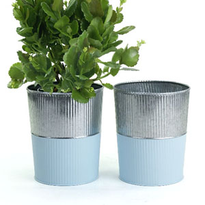 6" Galvanized Bucket Tall Ribbed/Blue base