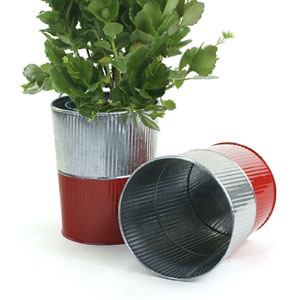 6" Galvanized Bucket Tall Ribbed/Red base