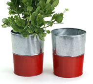 6" Galvanized Bucket Tall Ribbed/Red base