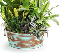 10" Tub Verdigris/Copper