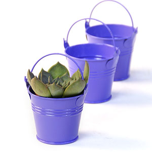 2.5" Mini Tin Favor Pail Purple