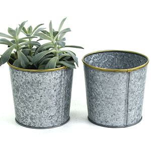 4.5" mini Pot Galvanized with brass trim