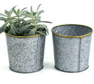 4.5" mini Pot Galvanized with brass trim