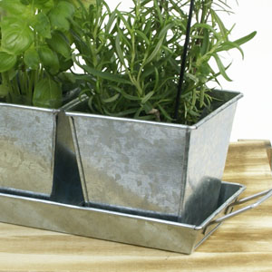 Tin Herb Pot Galvanized