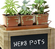 Verdigris/Copper Herb Container