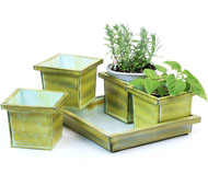 5pc Tin Herb Pot Vintage Green