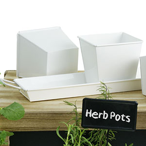 Tin Herb Pot White