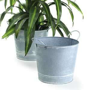 8.5" Pail Galvanized White Wash