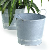 8.5" Pail Galvanized White Wash