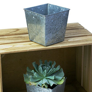 5"Sq Pot Galvanized