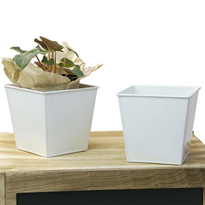 5"Sq Tin Pot White