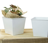 5"Sq Tin Pot W...