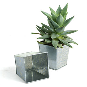 4"Sq Pot Galvanized