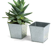 4"Sq Pot Galvanized