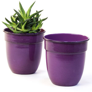 5" Solid Iron Metal Pot purple