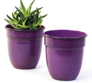 5" Solid Iron Metal Pot purple